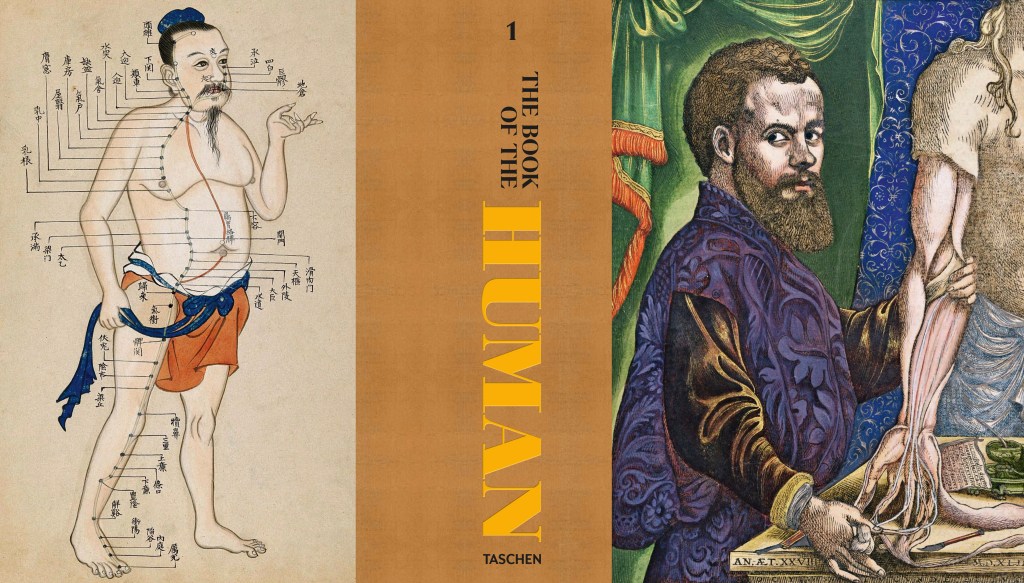 An illustration depicting an anatomical figure with labeled meridians on the left, alongside the title 'The Book of the Human' by Taschen in bold letters, and a historical figure examining a human arm on the right.